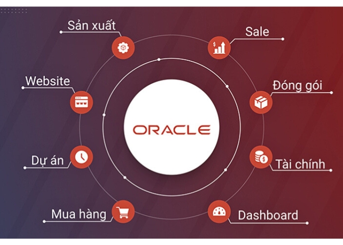 Hệ thống Oracle ERP