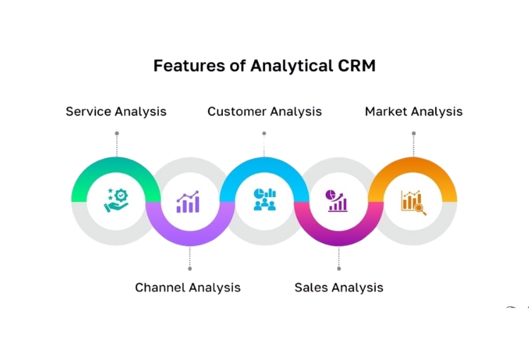 CRM phân tích (Analytical CRM)