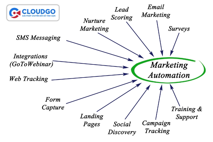 Marketing Automation