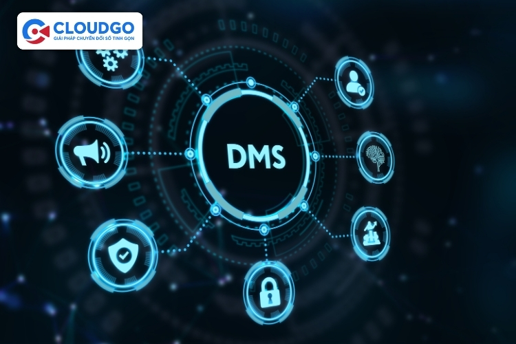 phần mềm DMS là gì