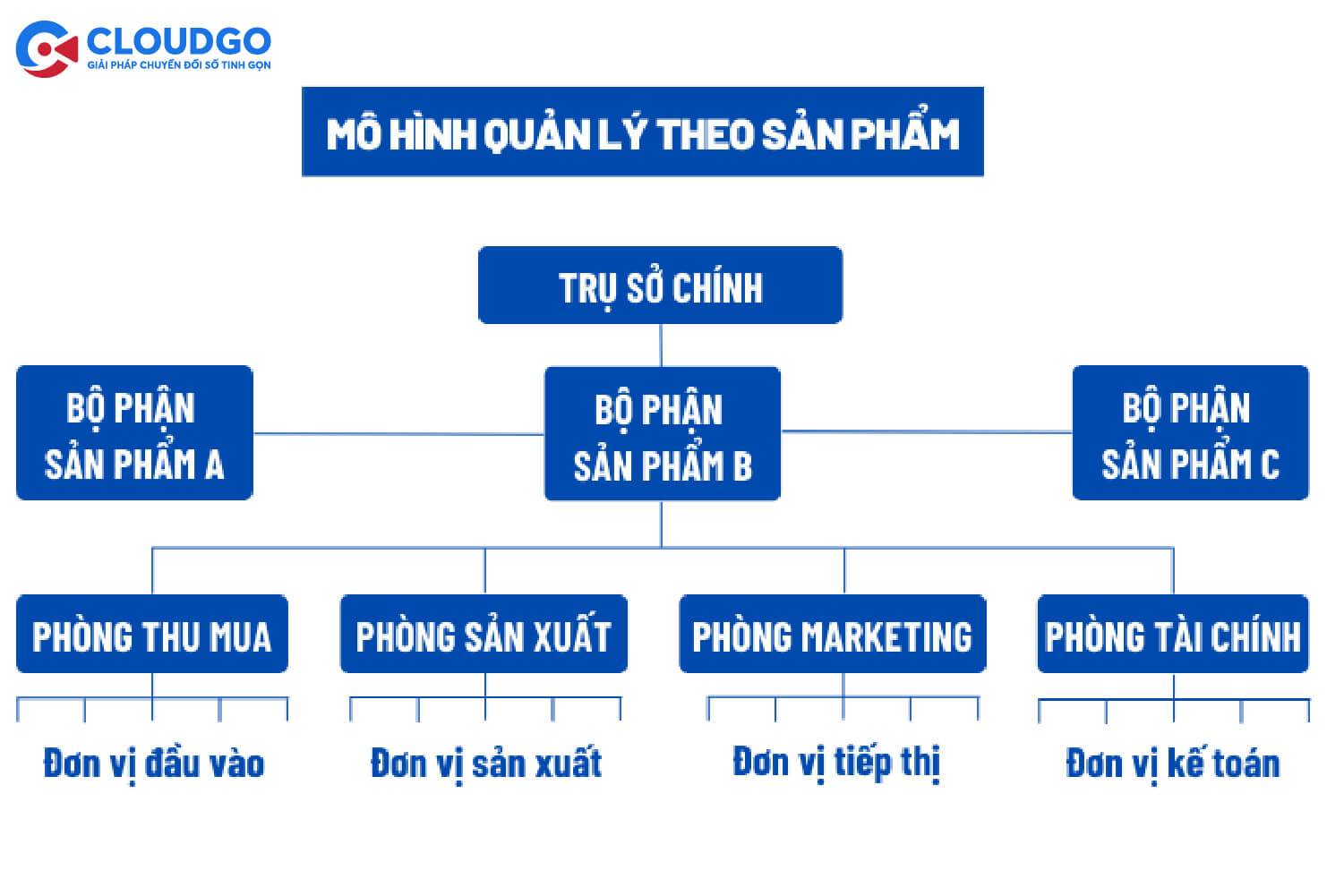 mô hình theo sản phẩm