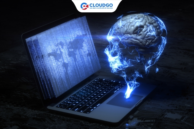 Vai trò của marketing trong tìm kiếm thông tin và phân tích dữ liệu